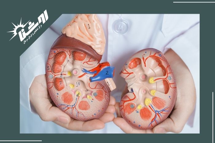 آیا بیوپسی برای بررسی نارسایی کلیه لازم است؟ آیا بیوپسی برای بررسی نارسایی کلیه لازم است؟