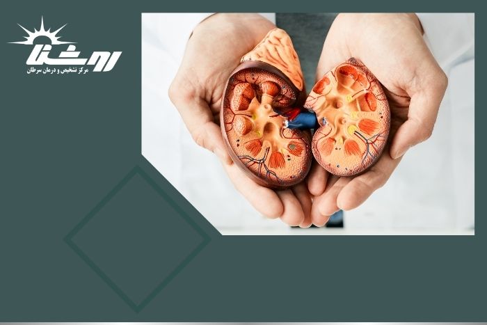 نمونه‌ برداری کلیه برای چیست و چگونه است؟