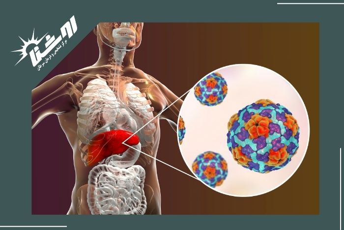 هپاتیت کدام اعضای بدن را بیشتر درگیر می‌کند؟